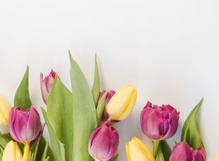 Spring is Here!