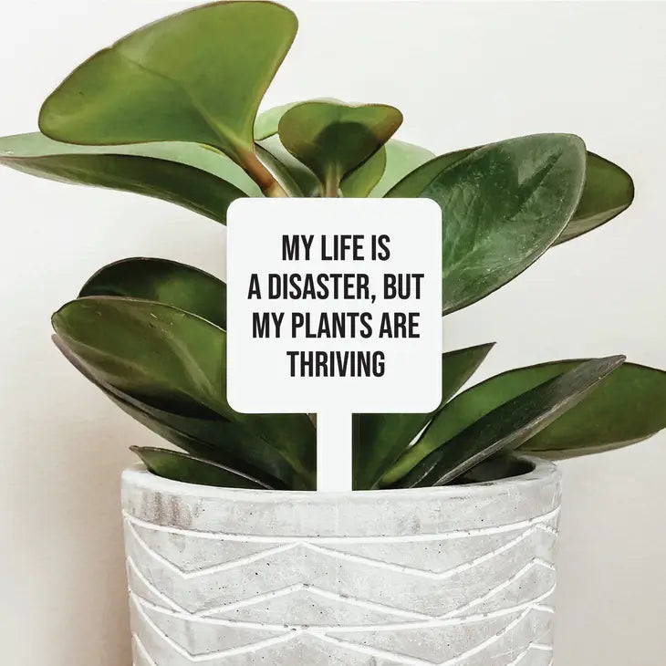 My Plants Are Thriving Plant Marker
