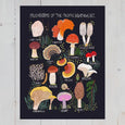 Mushrooms of the Pacific Northwest Art Print