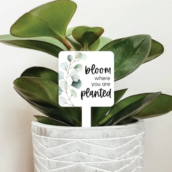 Bloom Where You Are Planted Plant Marker