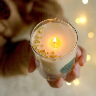 Forest Classic Glass Candle