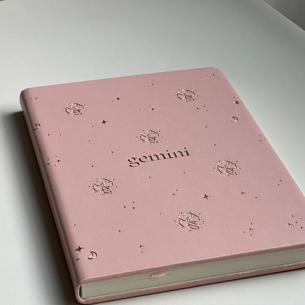 Gemini Notebook
