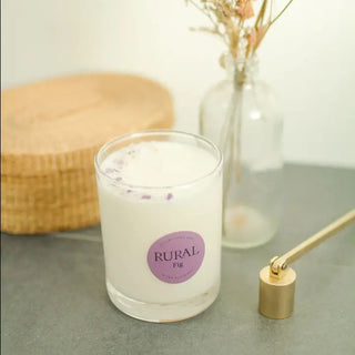 Fig Classic Glass Candle