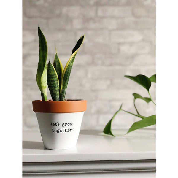 Let's Grow Together Planter