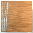 Birch Tree Magnet Board