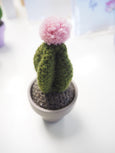 Crochet Potted Cactus - Parodia