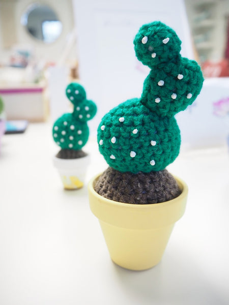 Crochet Potted Cactus - Opuntia