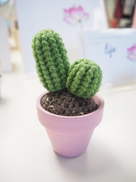 Crochet Potted Cactus - Double Parodia