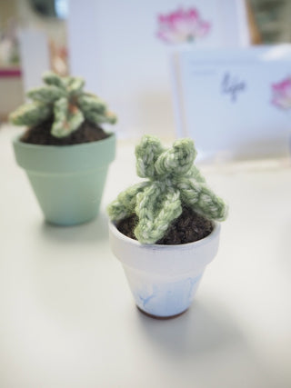 Crochet Potted Succulent
