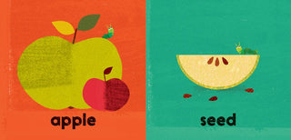 Big and Small - Board Book