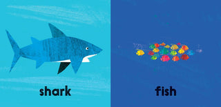 Big and Small - Board Book