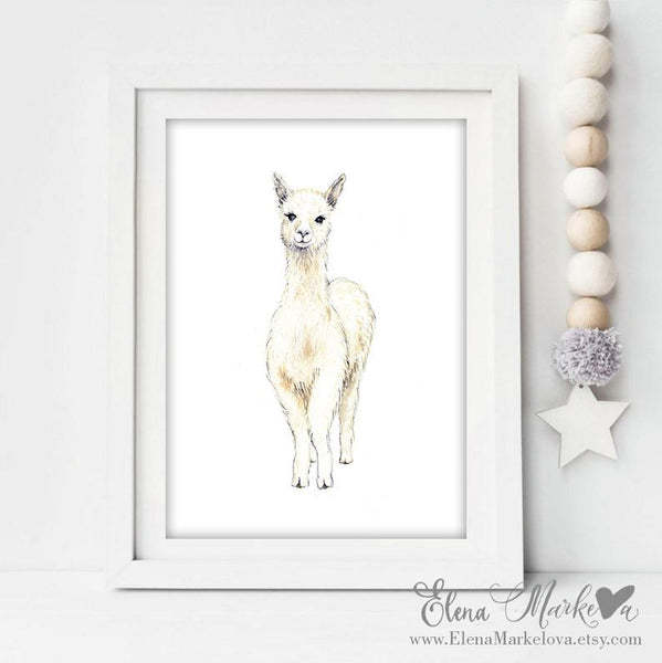 Baby Llama Art Print
