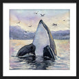 Freya Orca Whale